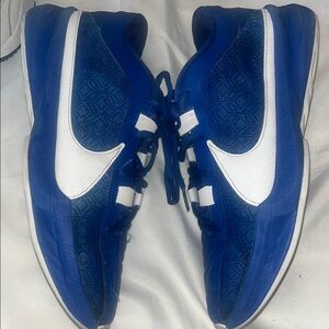 Nike Blue and White Sneakers (Basketball shoes)!!!!